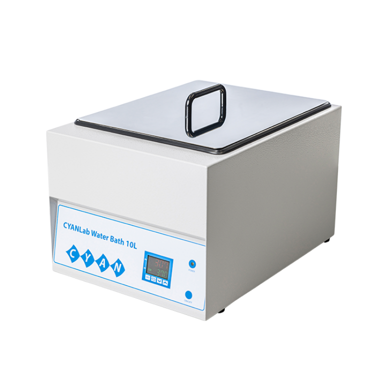 BAIN-MARIE